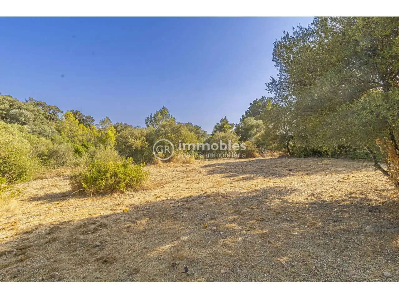 Casa o xalet en venda en Alaró amb Jardí privat i Terrassa