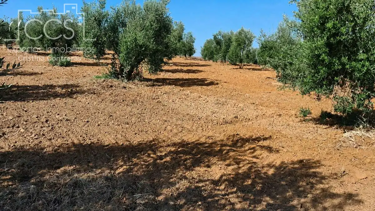 Terreno rustico in vendita a Almonte ciudad, imagen 9