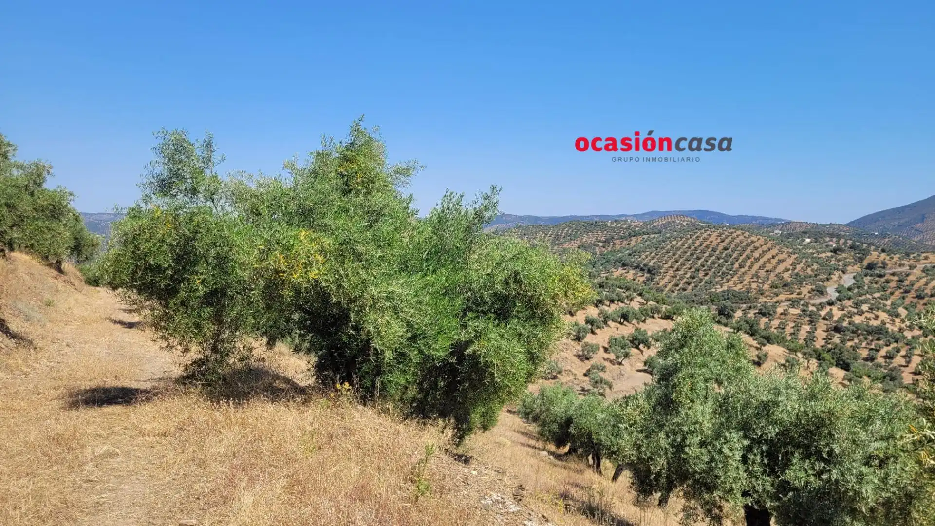 Finca rústica en venda en Pozoblanco amb Traster