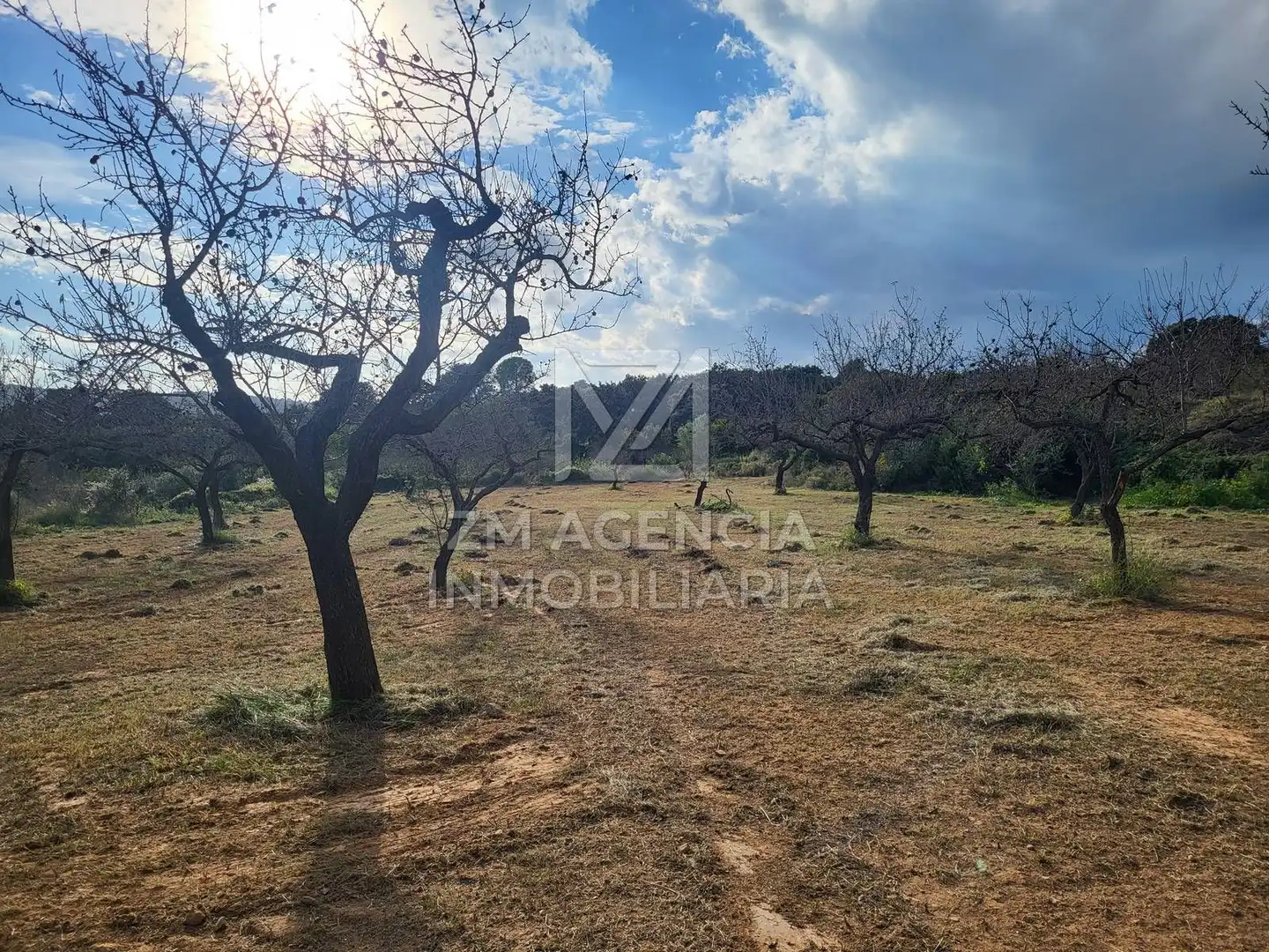 Terreno rustico in vendita a Traiguera, imagen 10