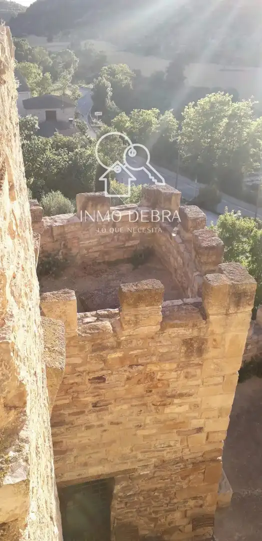 Vista exterior de Casa o xalet en venda en Conesa amb Calefacció, Traster i Moblat