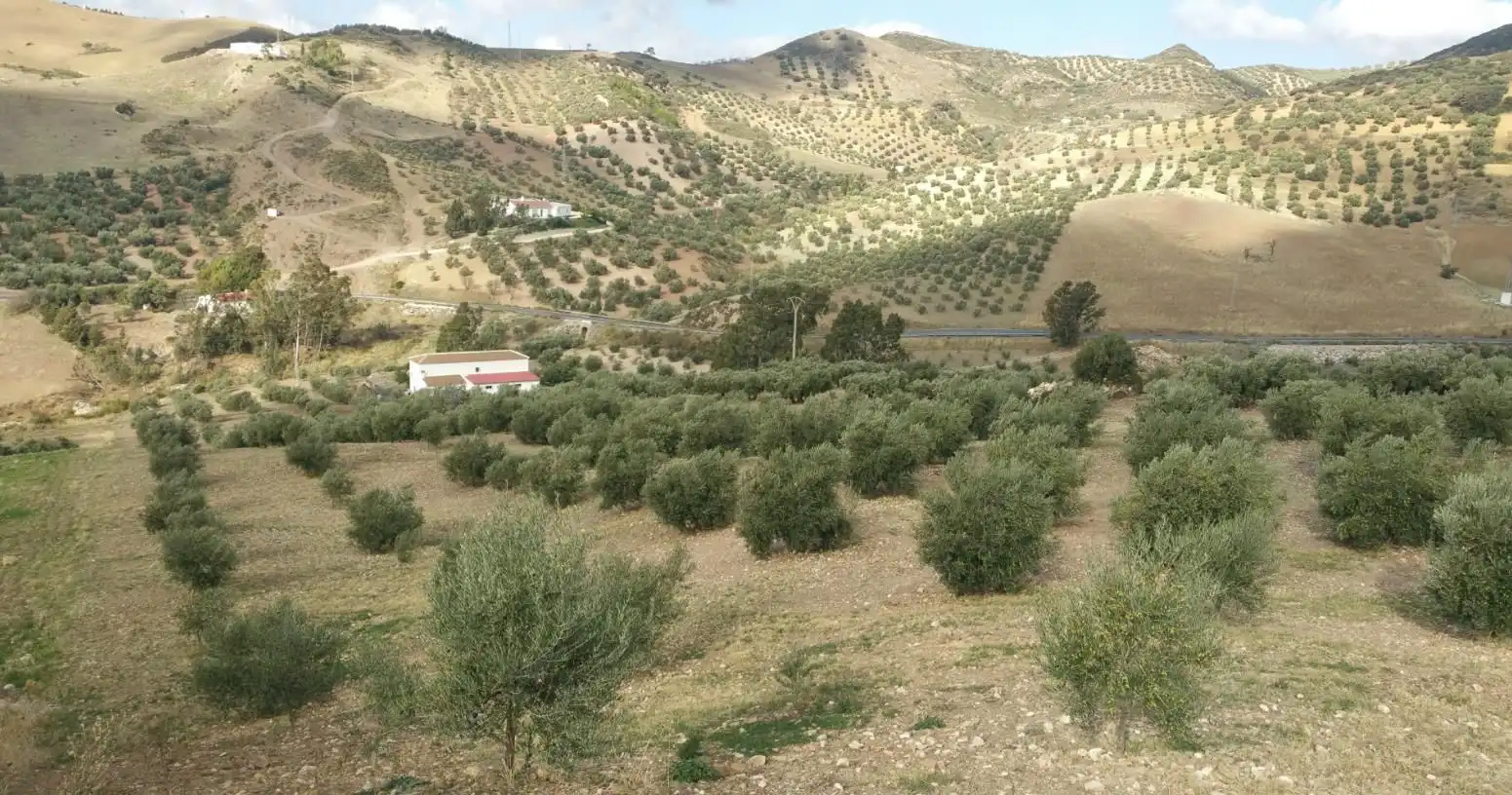 Vista exterior de Finca rústica en venda en Antequera amb Traster