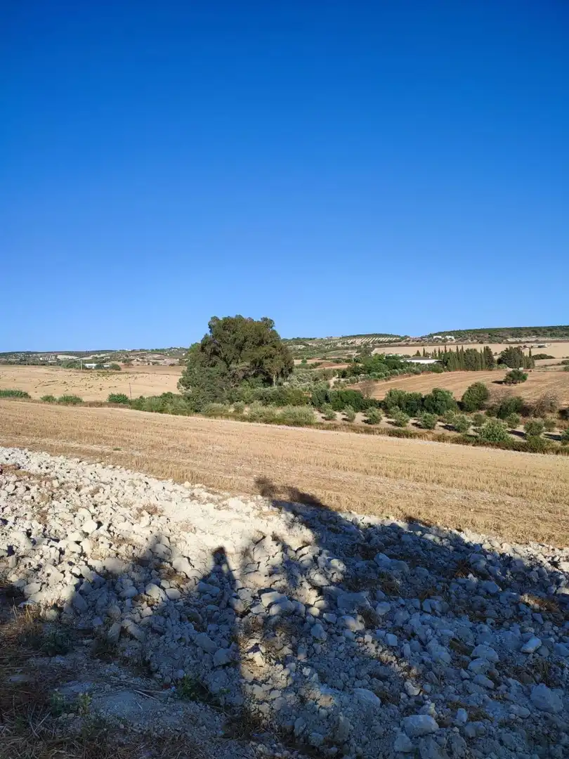 Terreno residencial en venta en Arcos de la Frontera, imagen 24