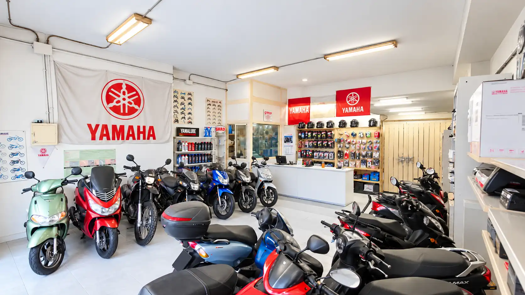 Local comercial en traspaso en del President Companys, imagen 27