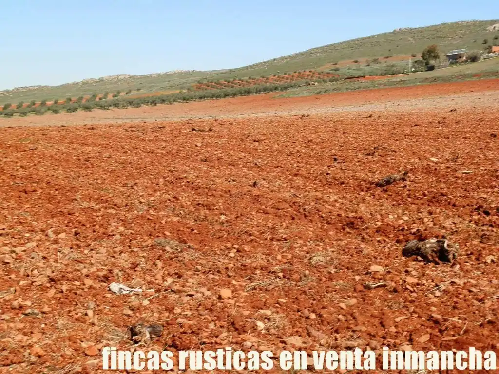 Rural land for sale in Valdepeñas, imagen 15