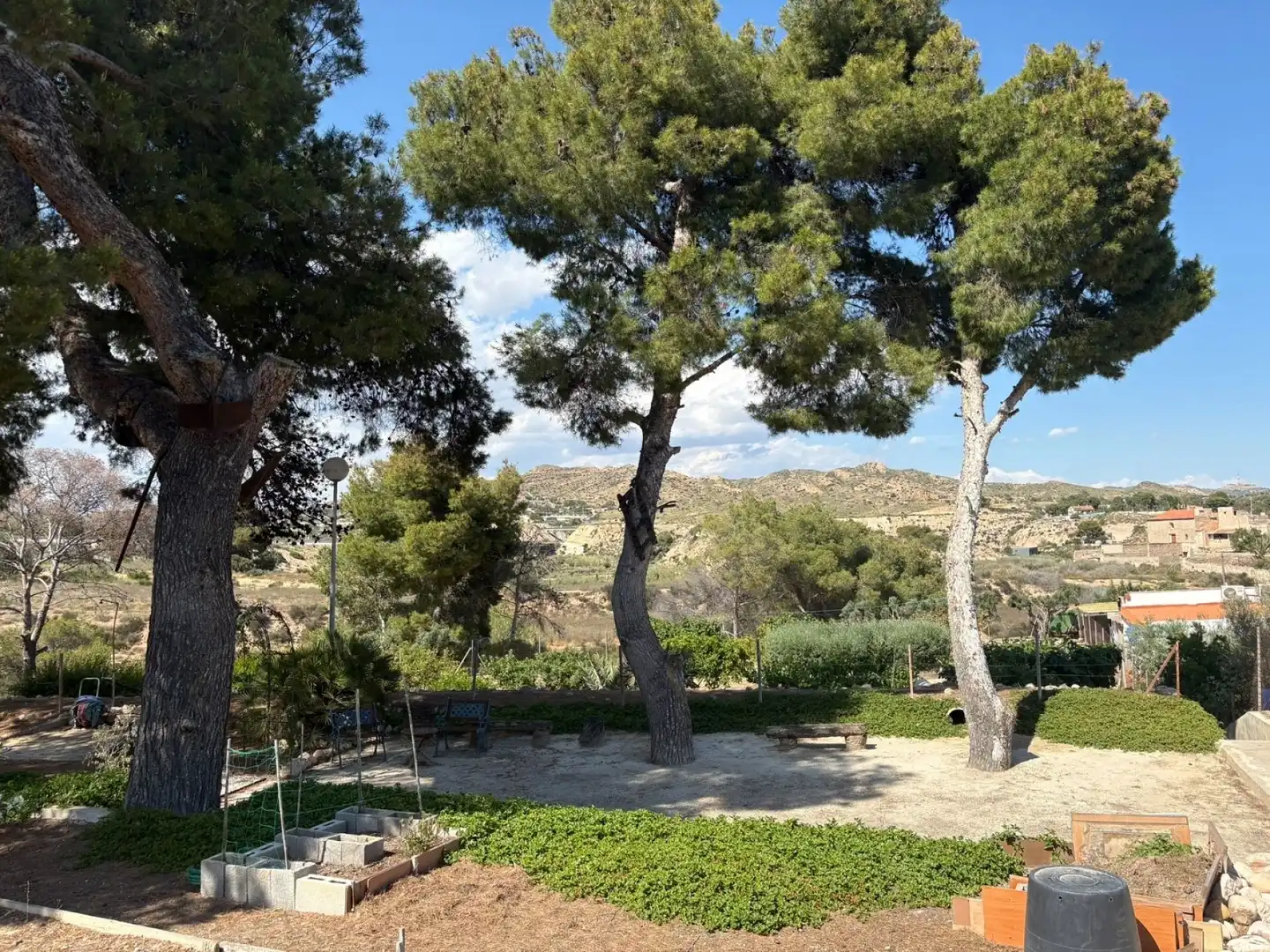 Jardí de Finca rústica en venda en Elche / Elx amb Terrassa
