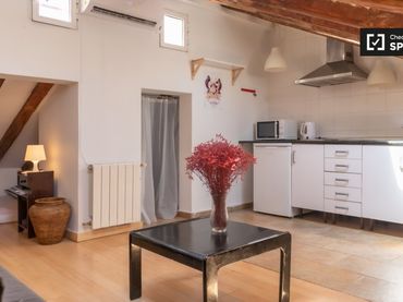 Appartamento in affitto a Centro
