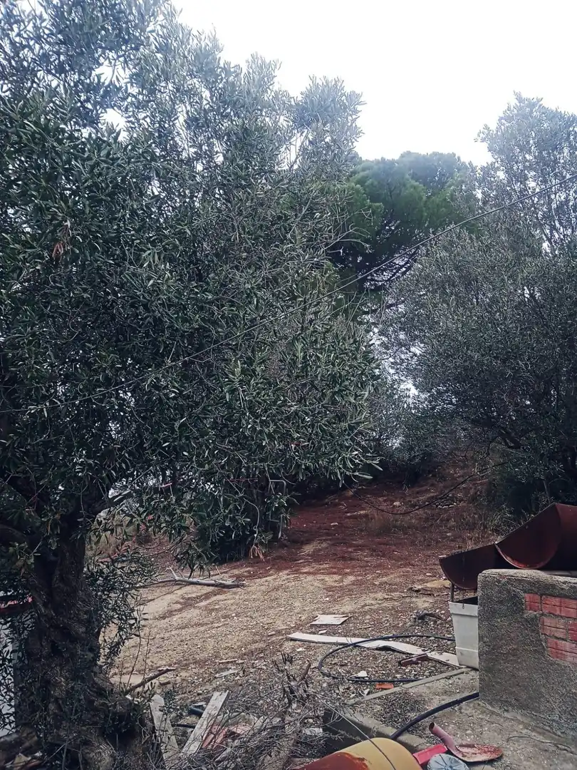 Land for sale in Olesa de Montserrat