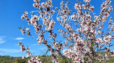 Foto 4 de Terreny en venda a 8, Cervià de Les Garrigues, Lleida