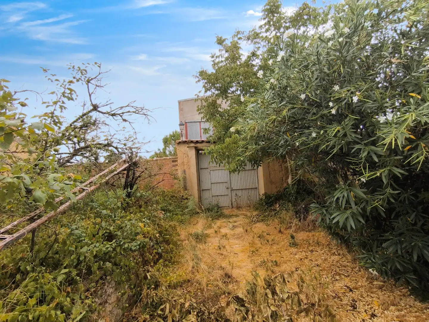 Casa o chalet en venta en Pedraza de Campos con Calefacción, Jardín privado y Terraza