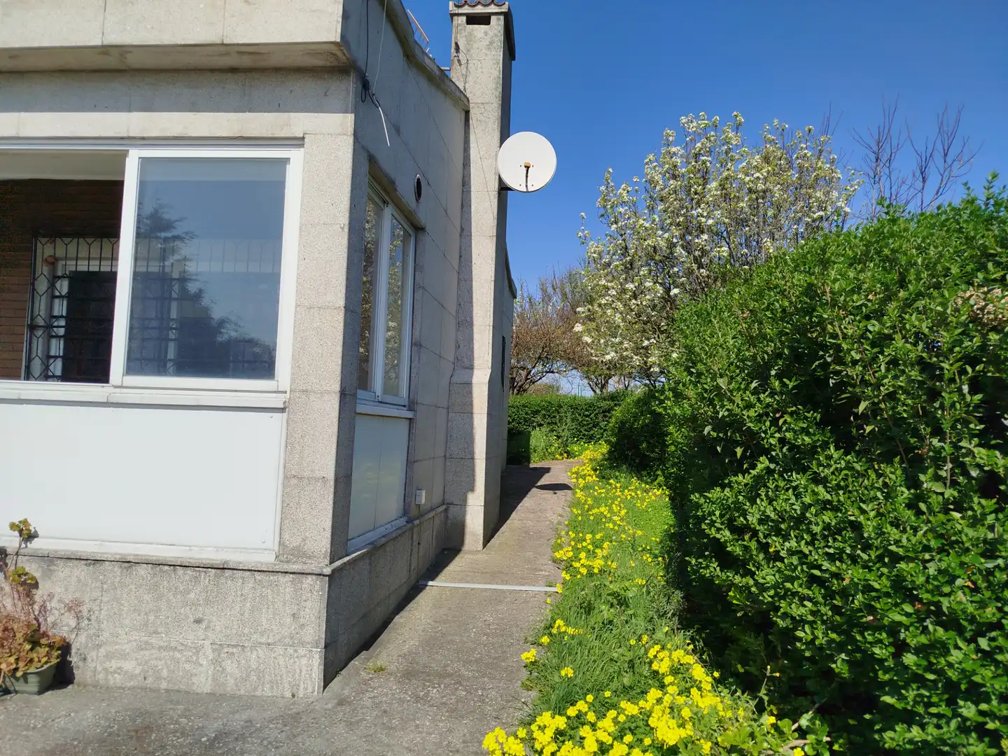 Vista exterior de Casa o chalet en venta en Arteixo con Jardín privado y Terraza