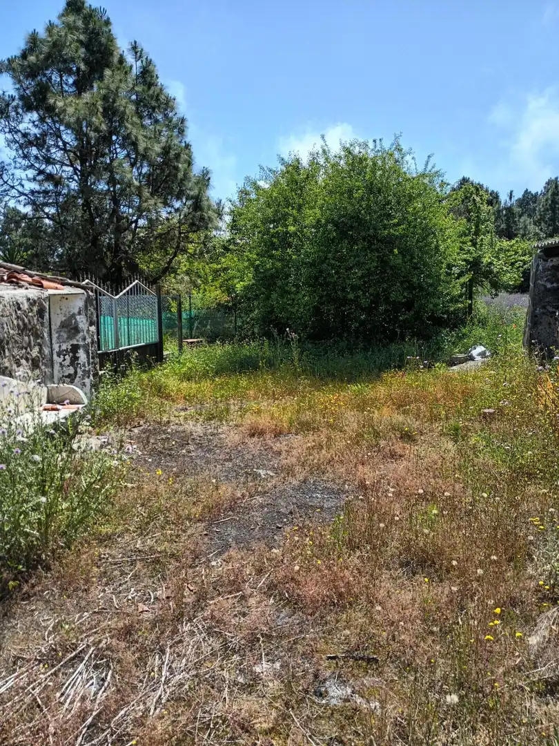Finca rústica en venta en Garachico