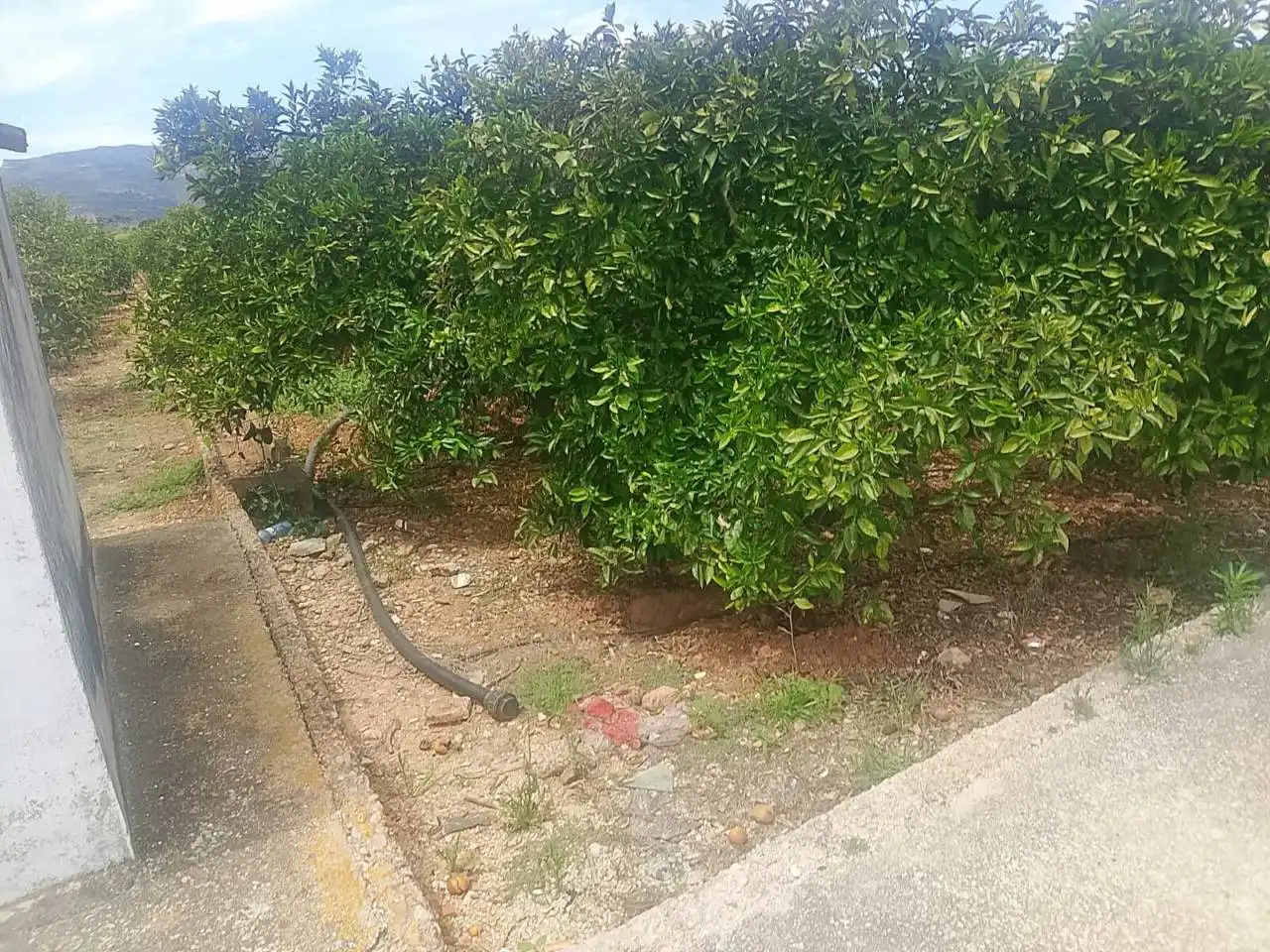 Terreny rústic en venda a Camino Puça 1, imagen 4
