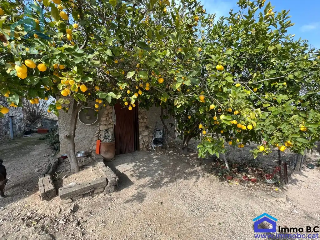Casa o chalet en venta en El Milà