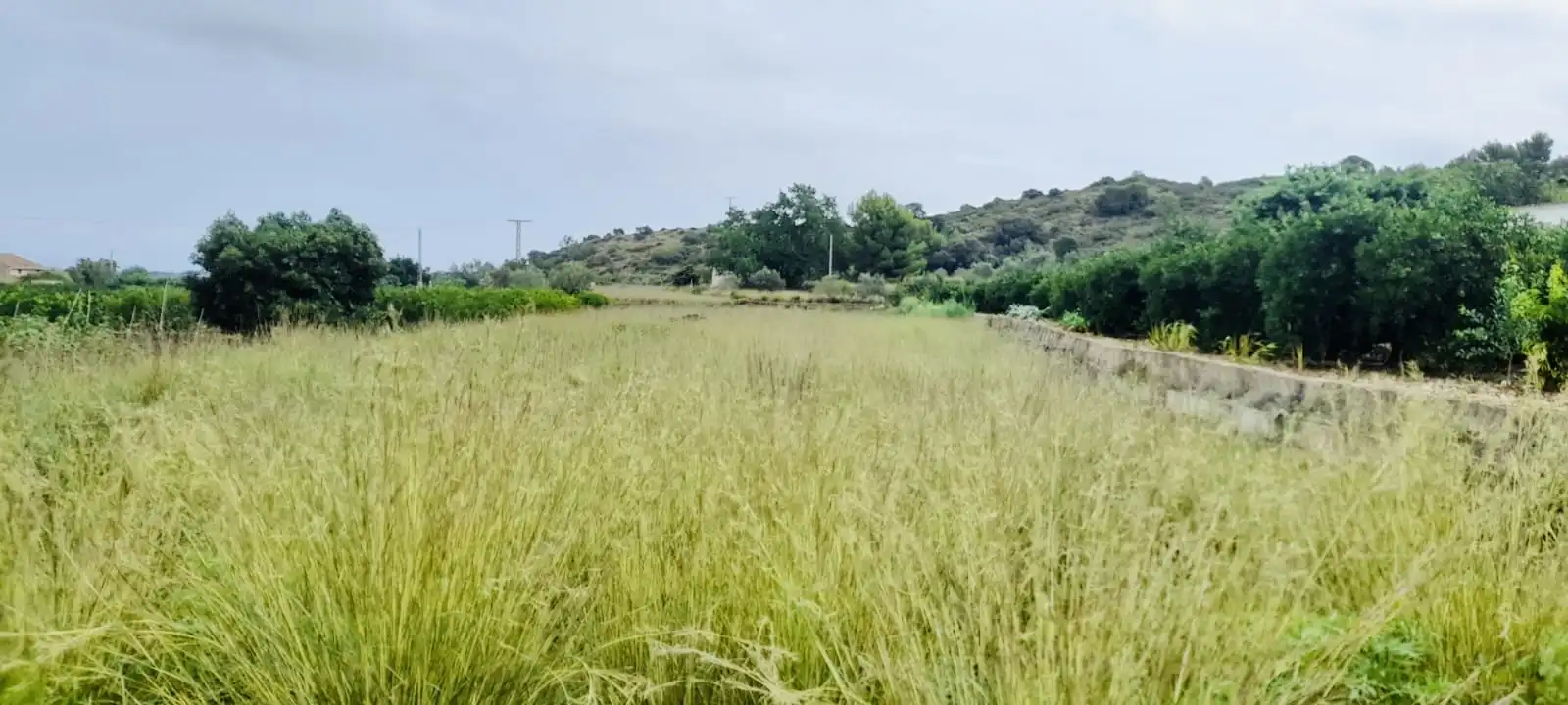 Terreny rústic en venda a El Ràfol d'Almúnia