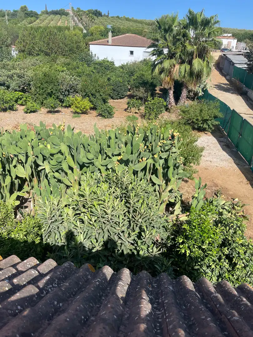 Country homes for sale in Cantillana