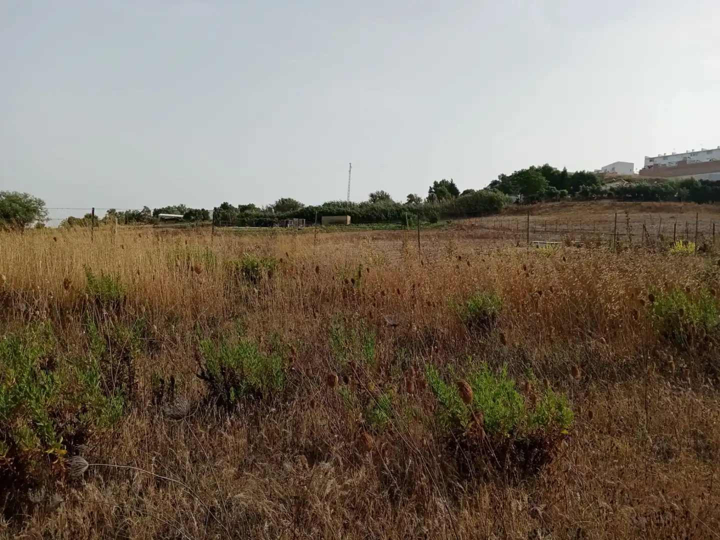 Terreny rústic en venda a Medina Sidonia, imagen 3