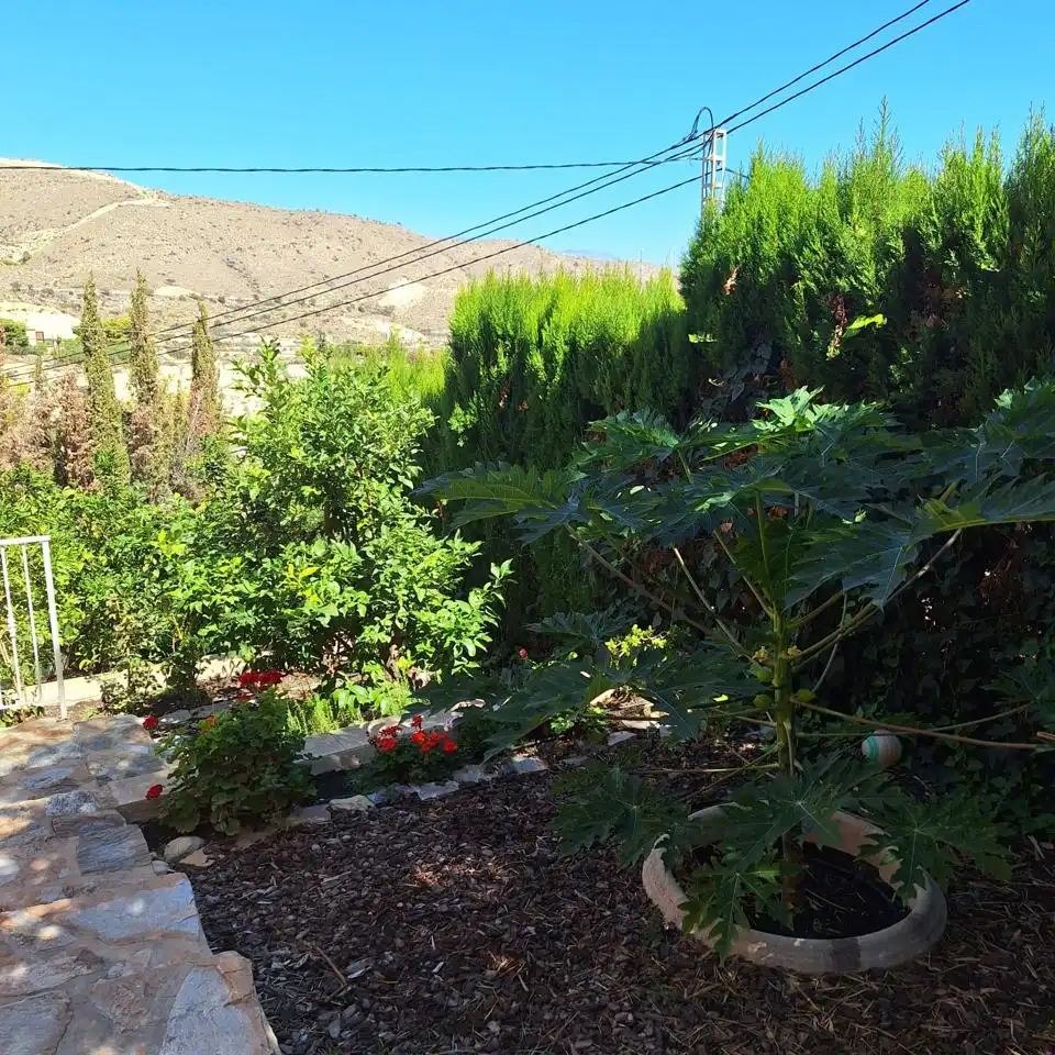 Casa con piscina en venta en Carrer d'Oriola, imagen 59