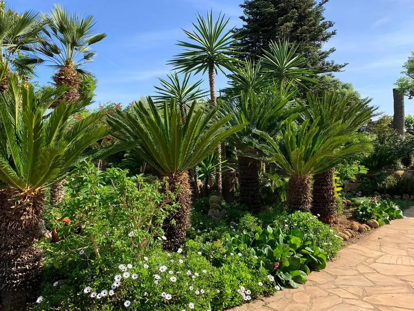 Casa o xalet en venda a Camí de Genaro, 303, Pueblo