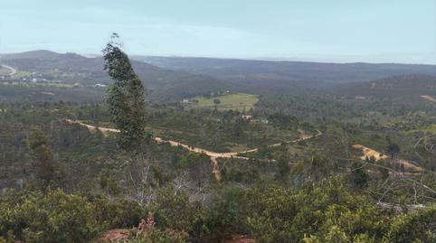 Foto 4 de Finca rústica en venda a  Poligono 4, Parcela, 2 el Guijarral. Traslasierra, El Campillo (Huelva), Huelva