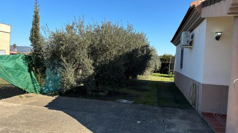 Foto 5 de Finca rústica en venta en Alcolea, Córdoba Capital