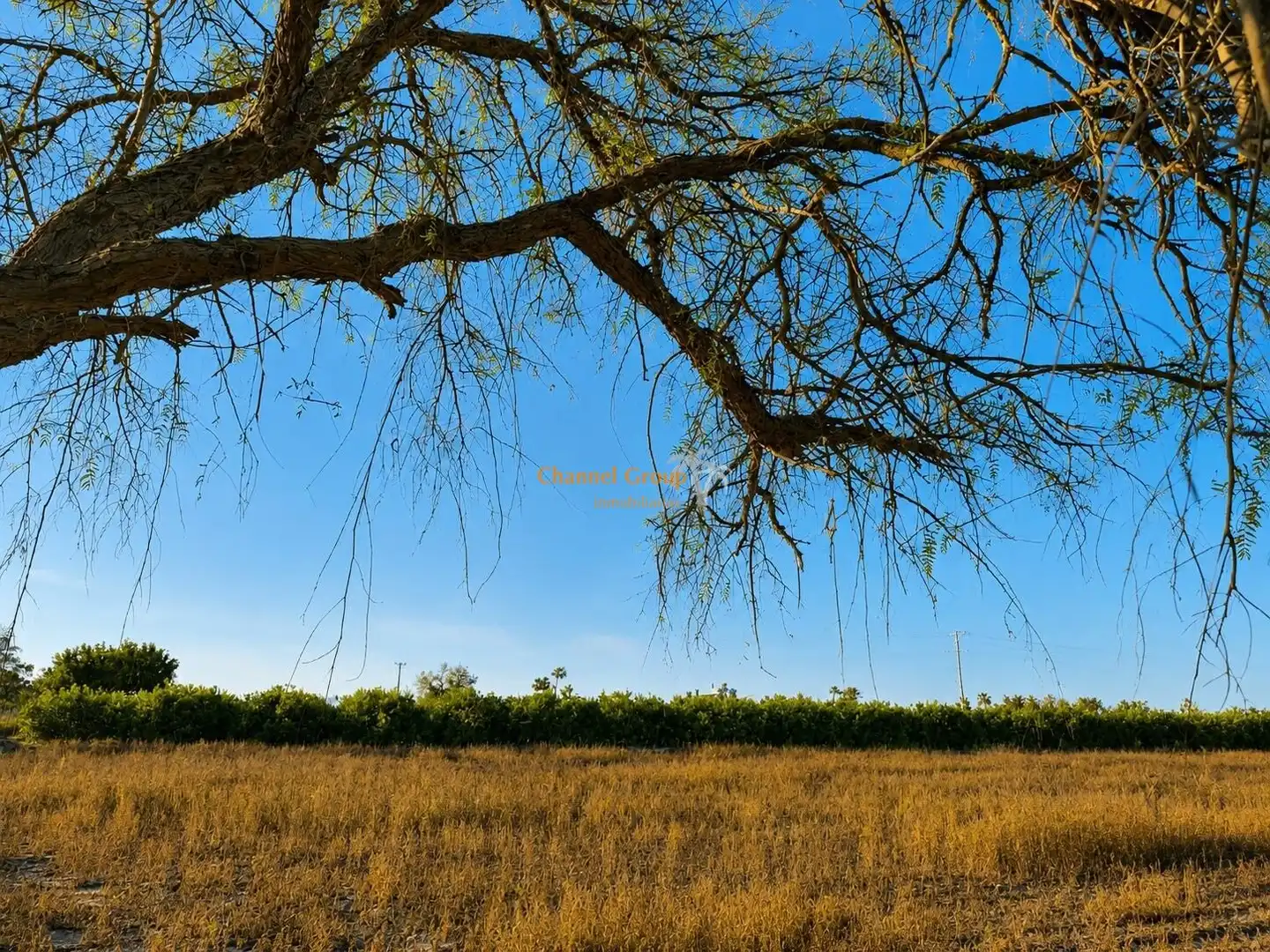 Land for sale in Elche / Elx