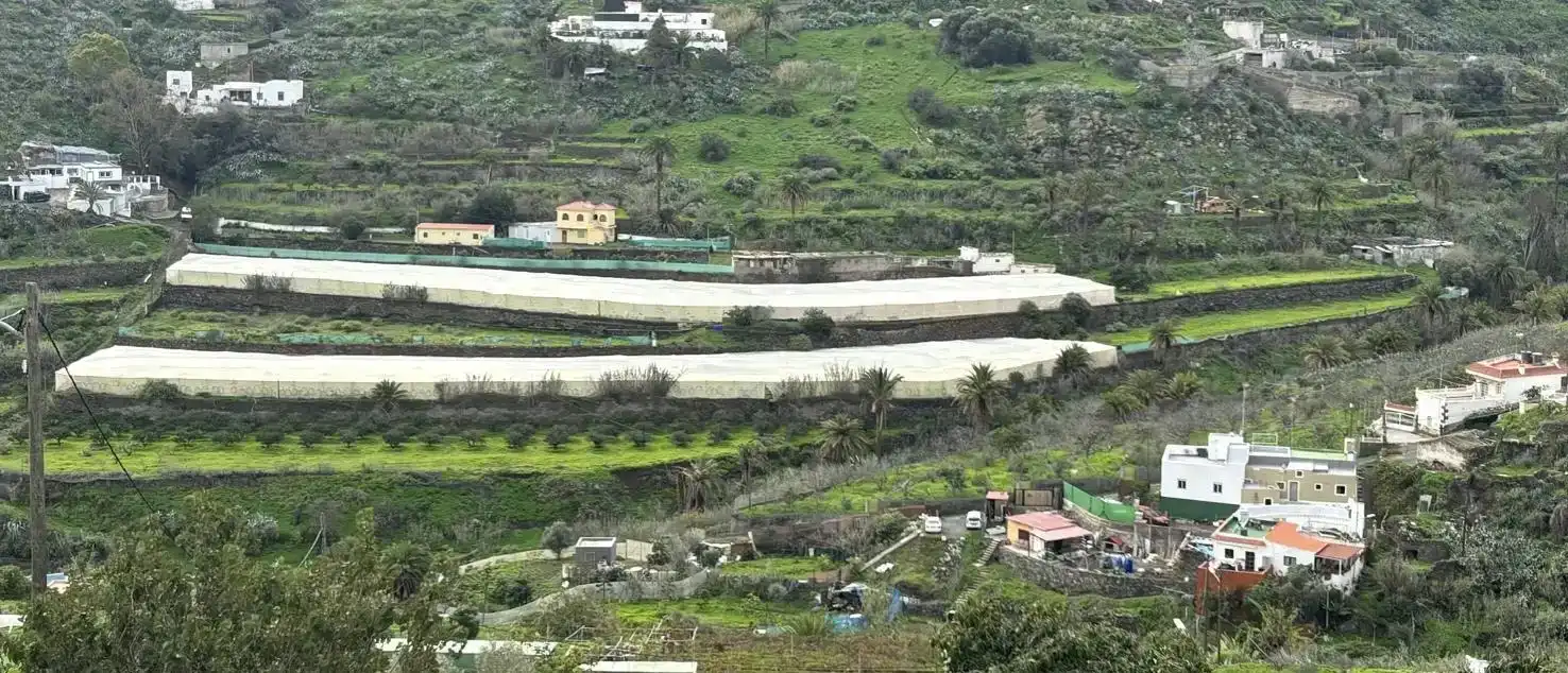 Vista exterior de Finca rústica en venta en Telde con Jardín privado, Trastero y Amueblado