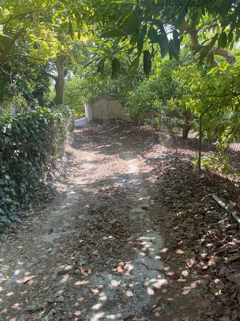 Terreni e lotti in vendita a Coín, imagen 20