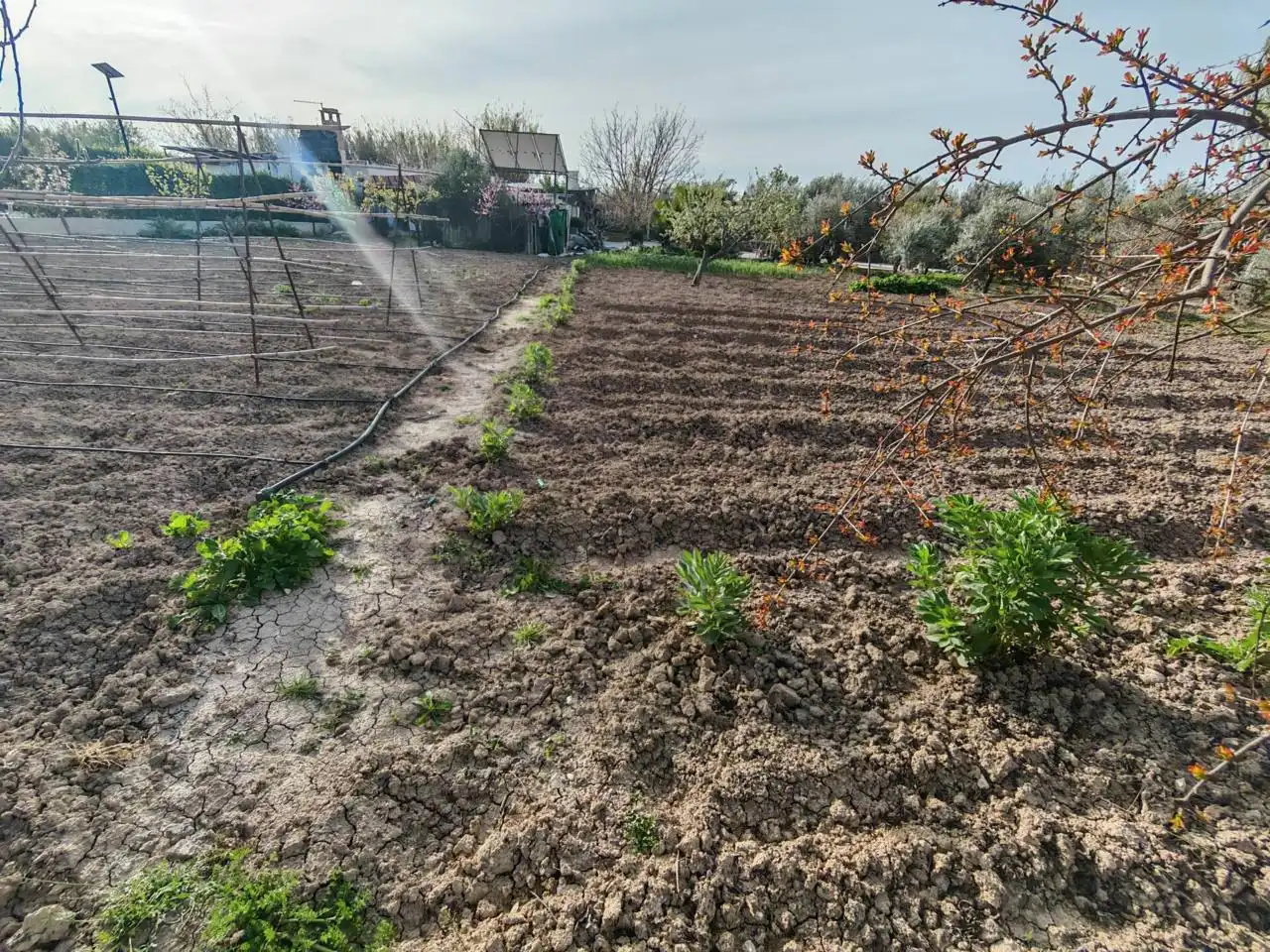 Terreni e lotti in vendita a Huétor Tájar, imagen 21