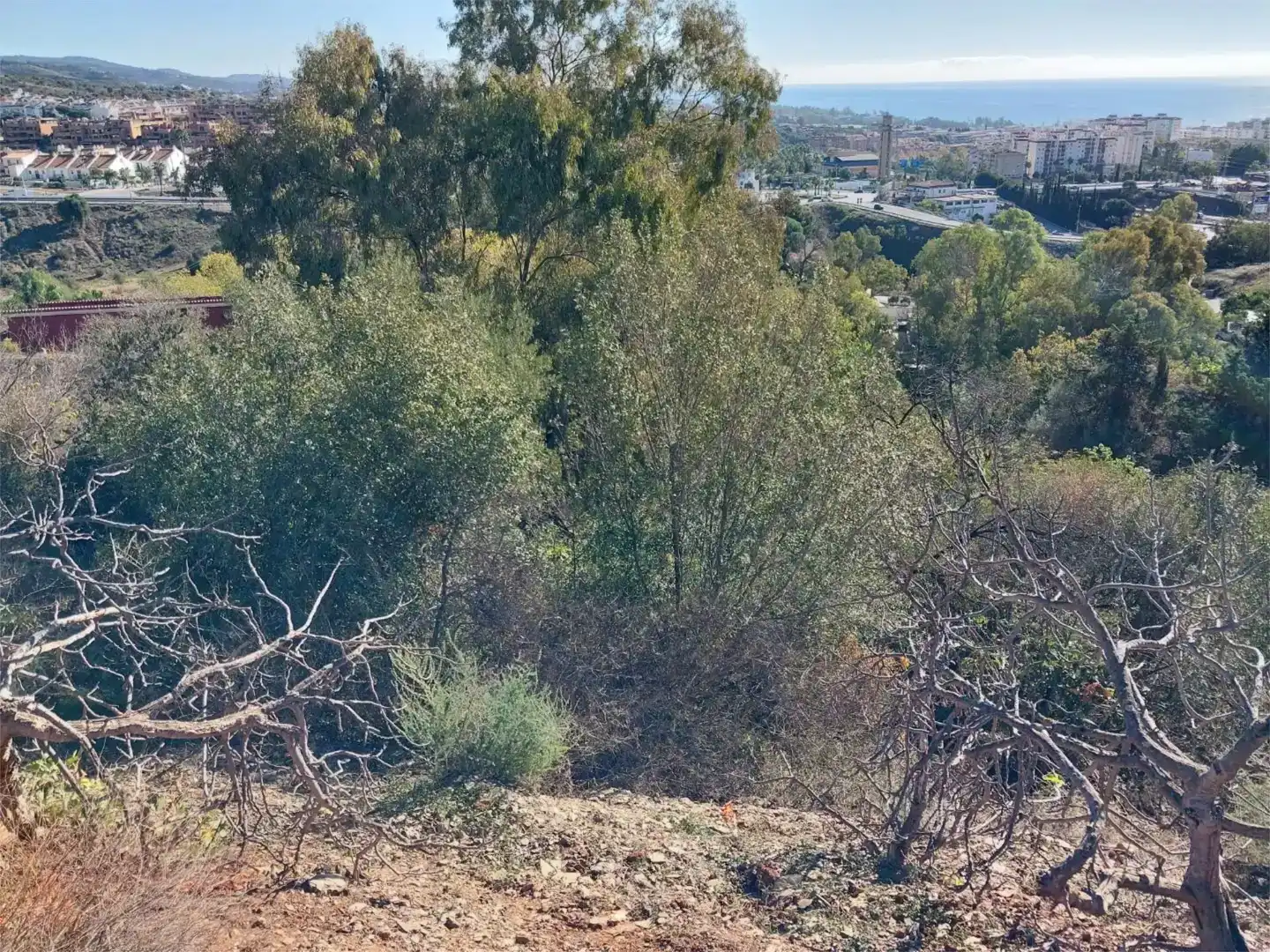 Terreno en venta en Marbella Centro