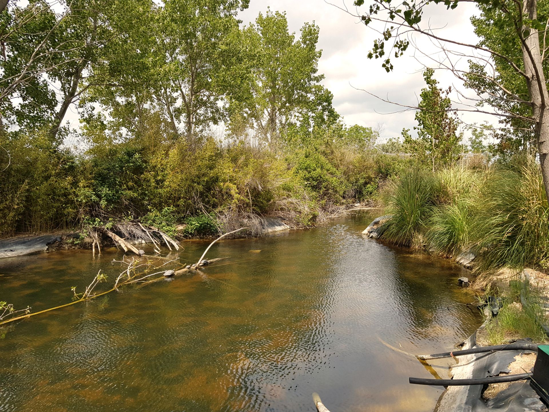 Haus oder Chalet zum Verkauf in Vereda del Chaparro