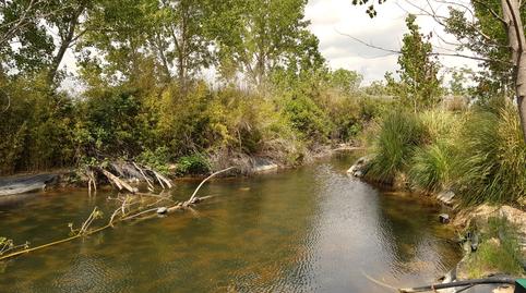 Foto 3 von Haus oder Chalet zum Verkauf in Vereda del Chaparro, Fuente El Saz de Jarama, Madrid