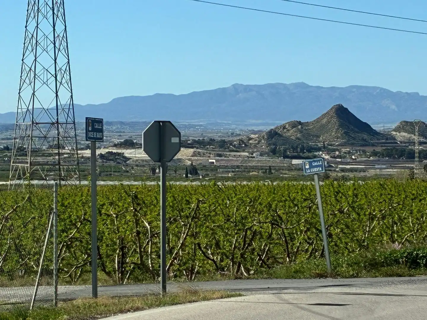 Vista exterior de Casa o xalet en venda en Molina de Segura