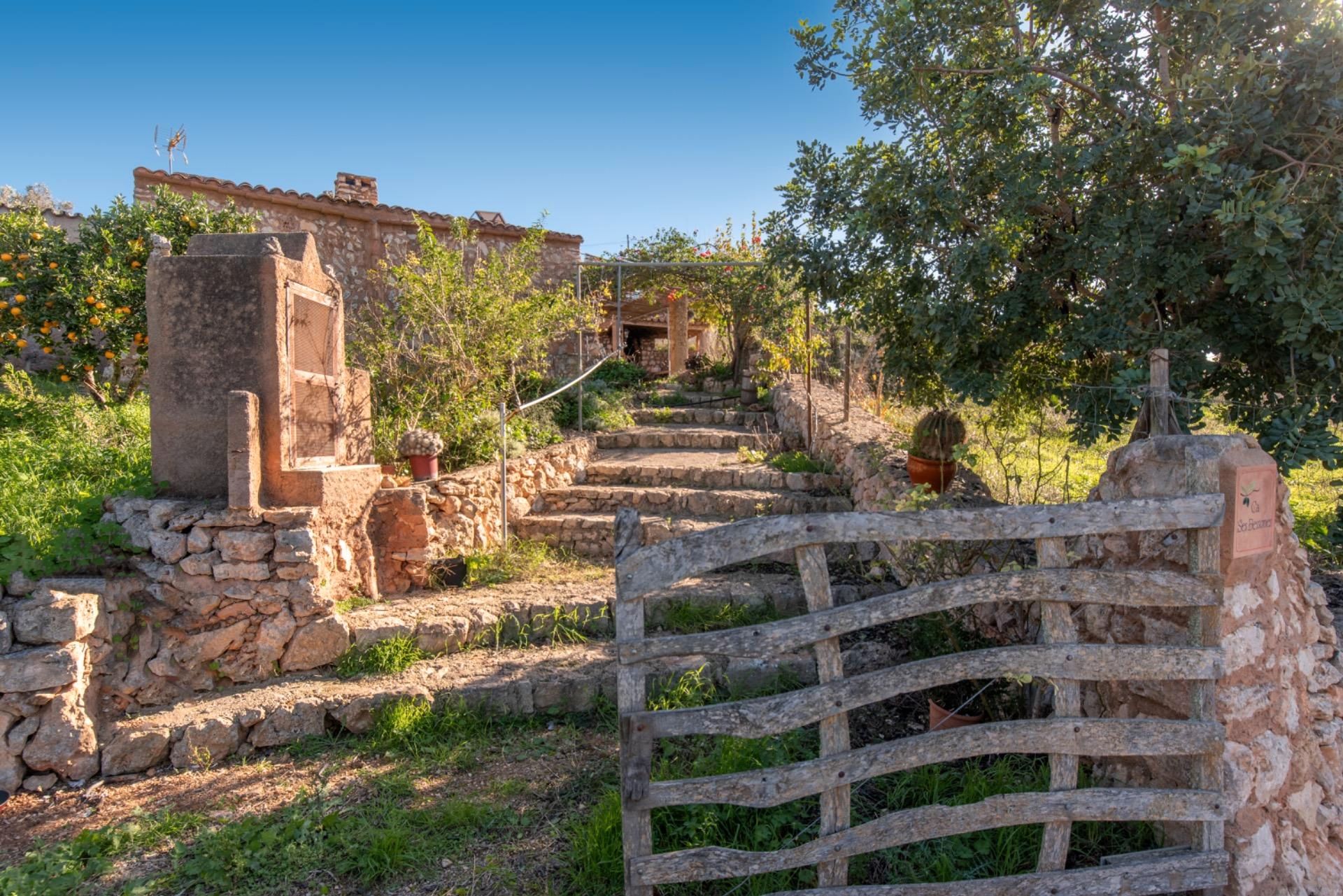 Garten von Grundstücke zum verkauf in Manacor