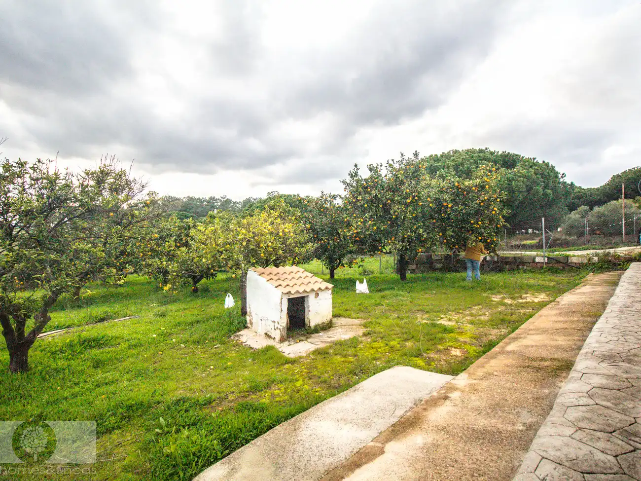 Country homes for sale in Gibraleón  with Furnished
