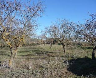 Land for sale in Pozán de Vero