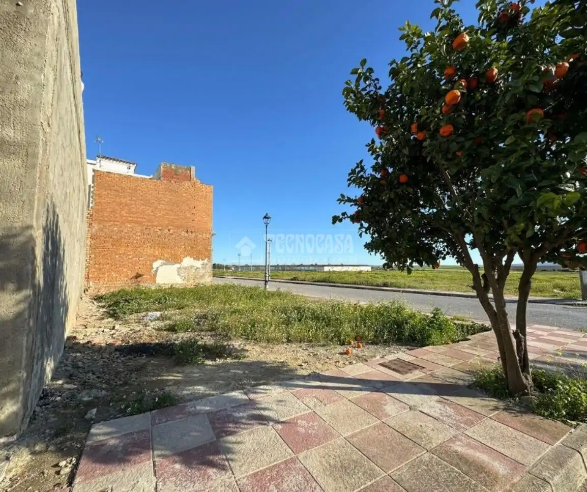 Terreni e lotti in vendita a C. San Marcos, imagen 5