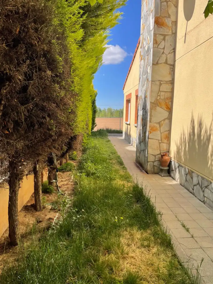 Jardín de Casa o chalet en venta en San Miguel del Pino con Calefacción