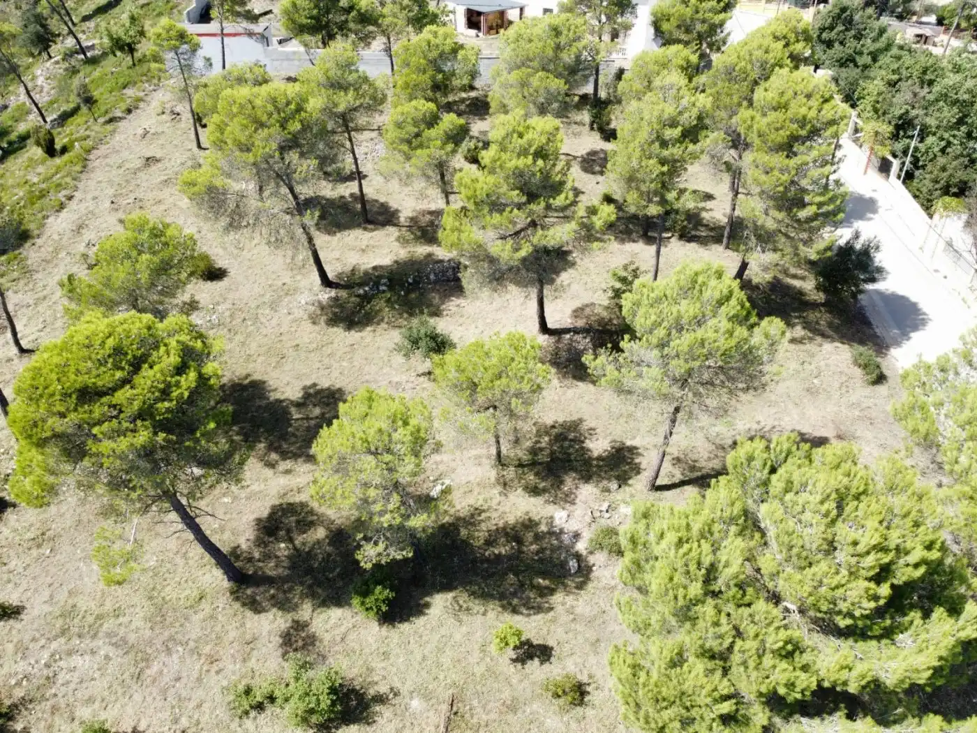 Terreny residencial en venda a La Torre de Claramunt, imagen 9