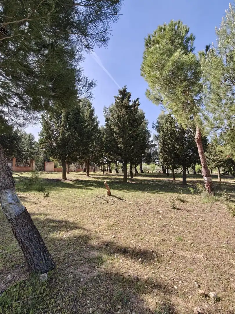 Chalet en venta en CERRO PALOS poligono 45 parcela 63, imagen 35