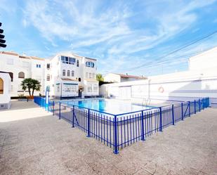 Piscina de Pis de lloguer en Torrevieja amb Piscina, Moblat i Forn