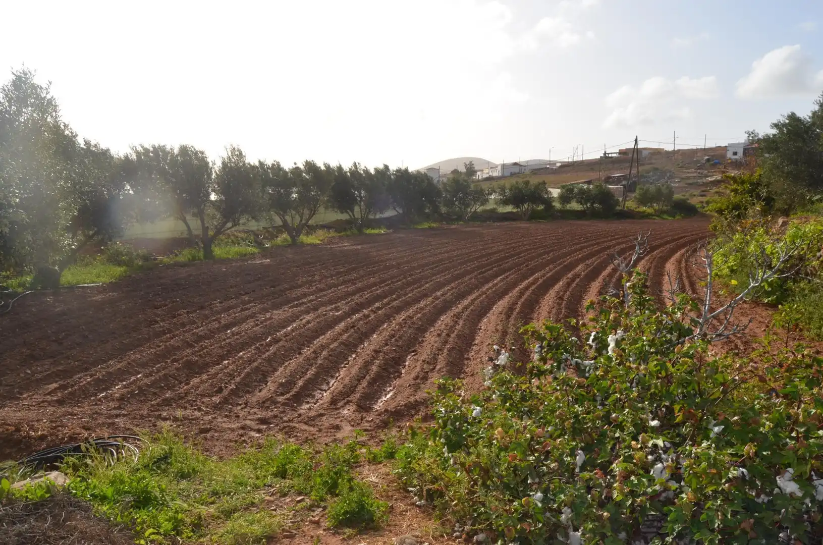 Finca rústica en venda en Pájara amb Jardí privat, Terrassa i Traster