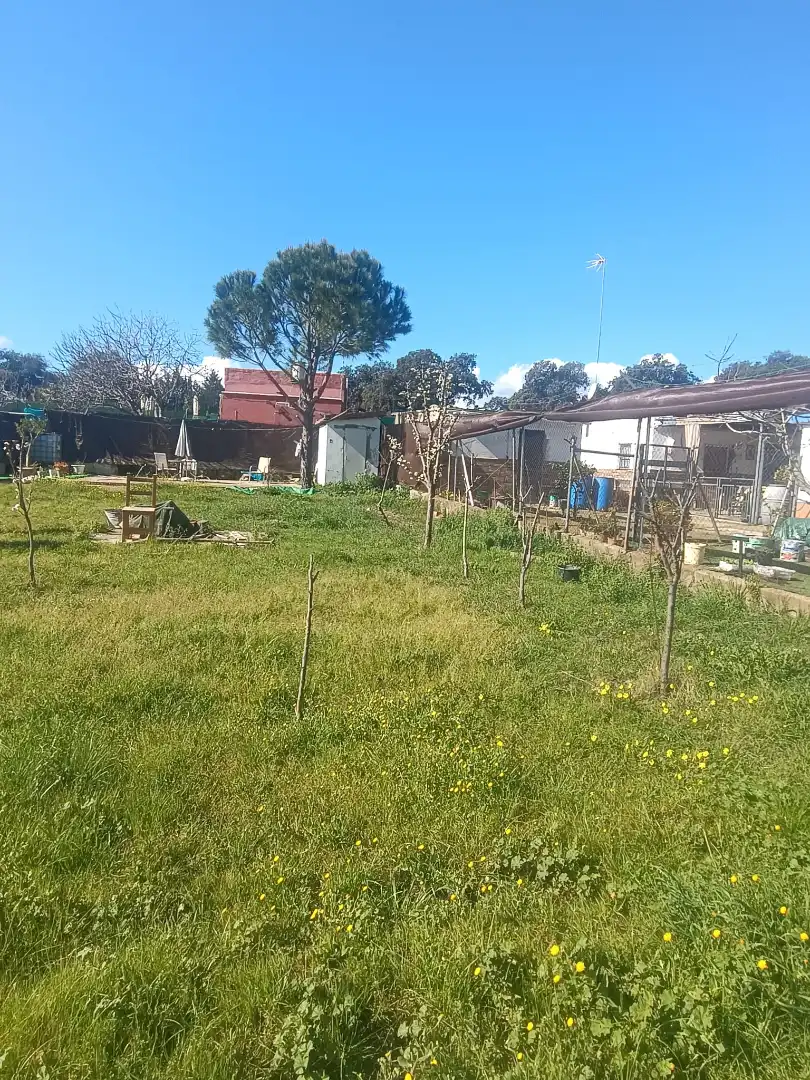 Terreni e lotti in vendita a Castilblanco de los Arroyos, imagen 5