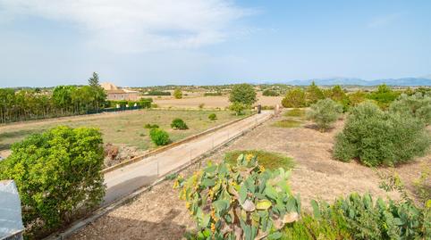 Photo 5 of Country house to rent in Santa Margalida Poble, Illes Balears