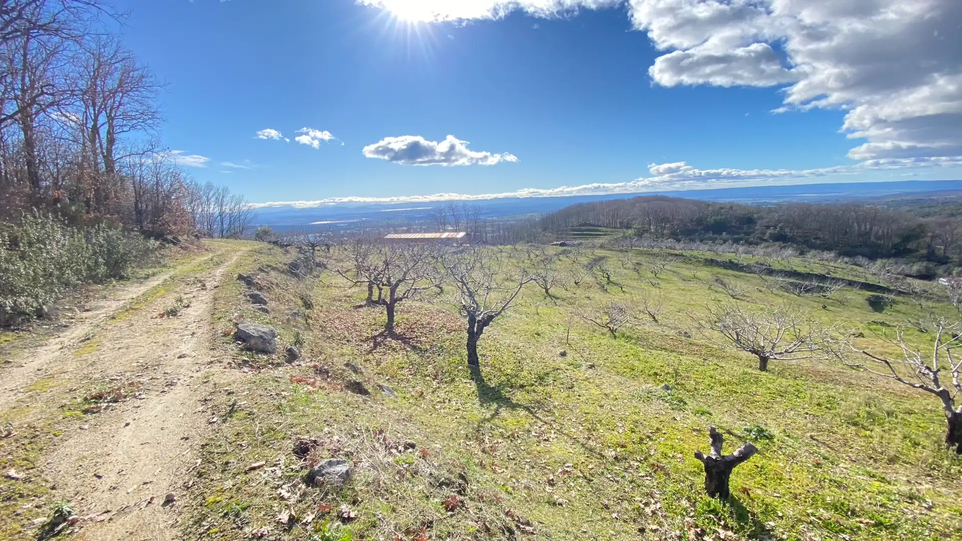 Terreni e lotti in vendita a Pasarón de la Vera, imagen 10