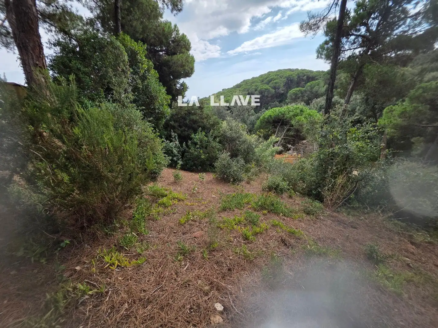 Casa o xalet en venda en Lloret de Mar amb Terrassa i Traster