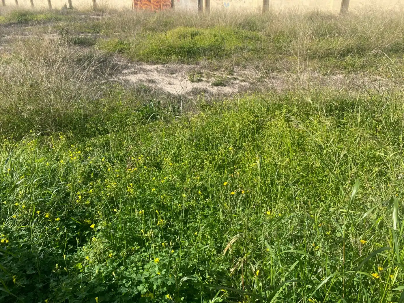 Terreno residencial en venta en Elche ciudad, imagen 13