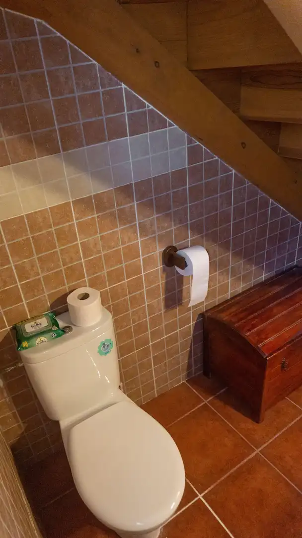 Bany de Casa o xalet en venda en El Hornillo 
