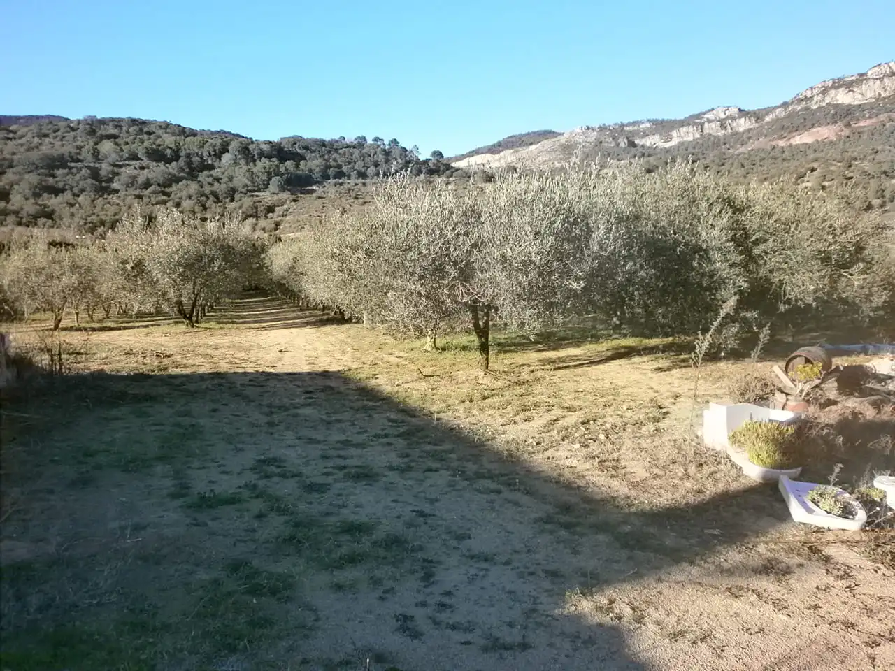 Terreno rústico en venta en Camí d'Arbolí 1, imagen 11