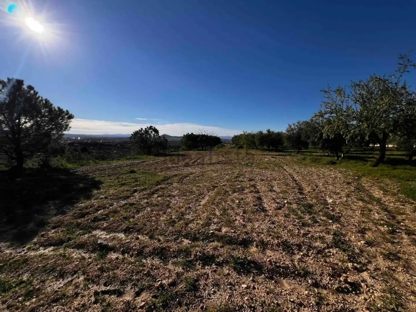 Land for sale in Gójar